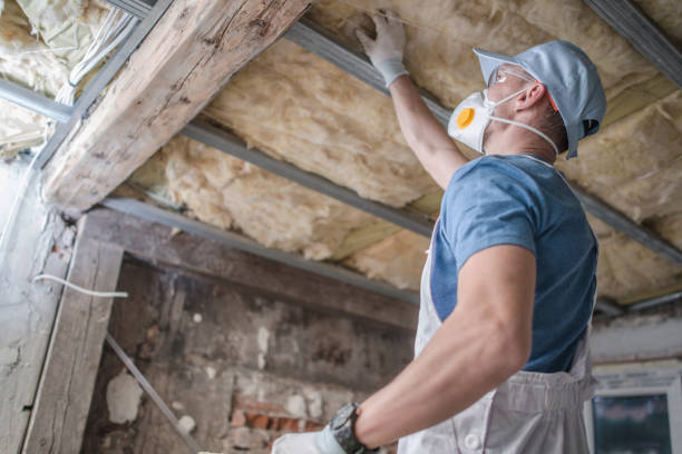 Best Spray Foam Insulation in Oak Leaf, TX