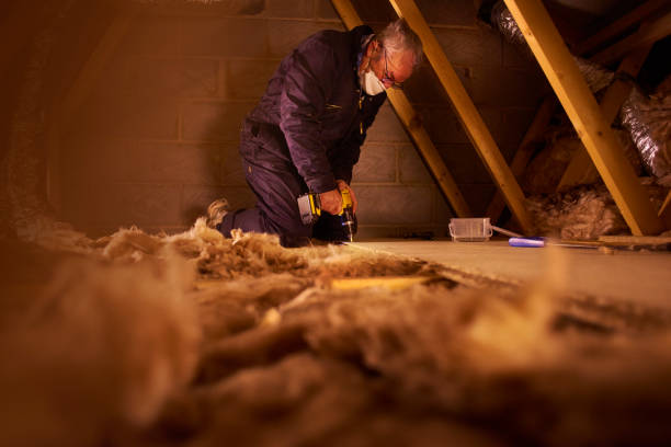 Best Insulation Maintenance and Repair in Oak Leaf, TX