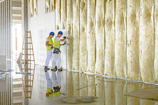 Best Eco-Friendly Insulation in Oak Leaf, TX